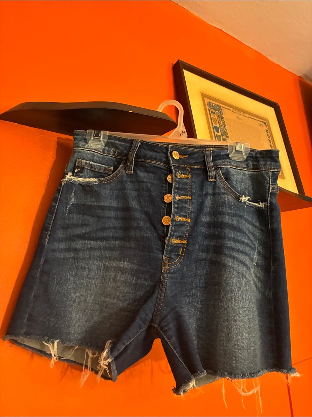 KanCan Dark Wash High-Rise Button-Fly Jean Shorts